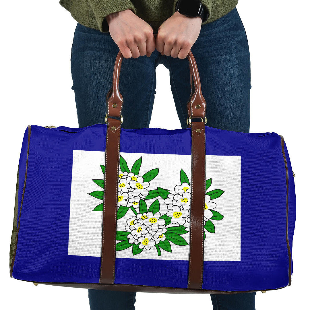 Travel Bag Flag Of West Virginia 1905 1907 Travel Bag