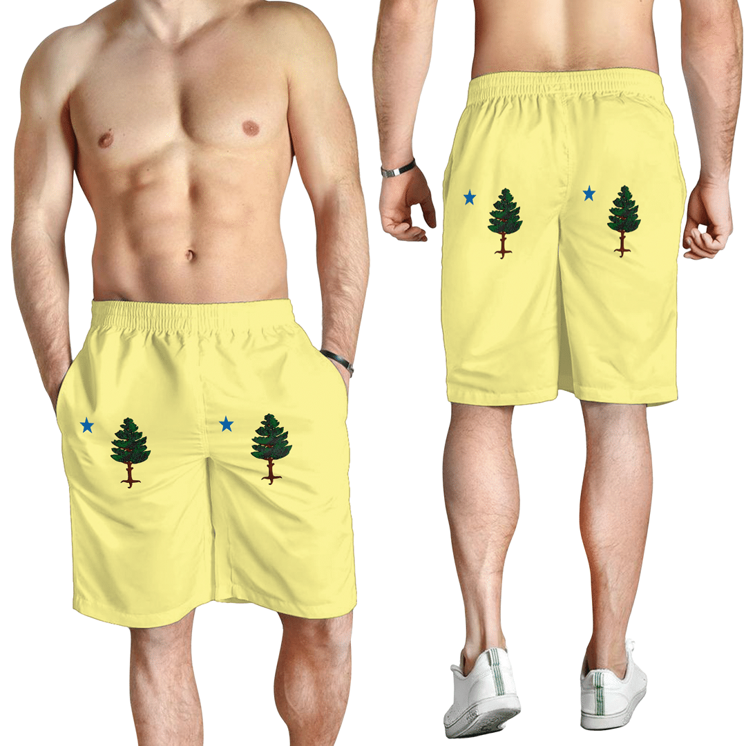 Men's Short Flag Of Maine Men's Short