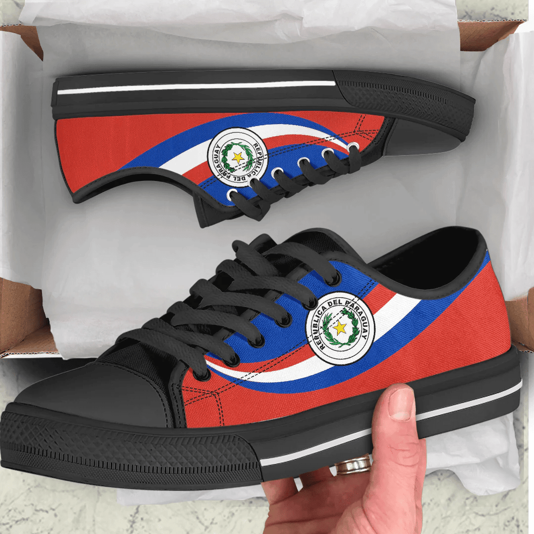Shoes Paraguay Coat Of Arms And Flag Low Top Shoes