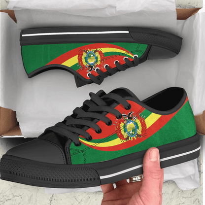 Shoes Bolivia Coat Of Arms And Flag Low Top Shoes