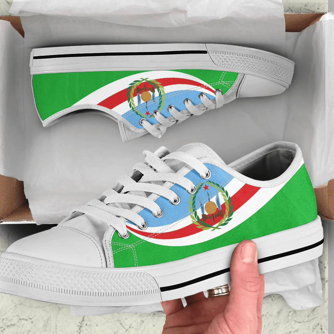 Shoes Djibouti Coat Of Arms And Flag Low Top Shoes