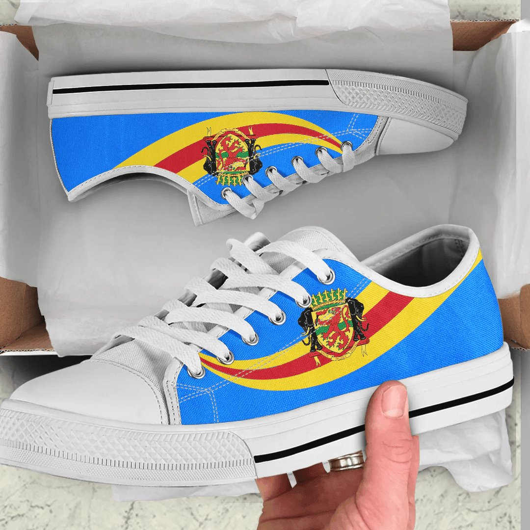 Shoes Republic Of The Congo Coat Of Arms And Flag Low Top Shoes