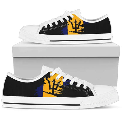 Barbados Low Top Shoe Flag Painting Th5